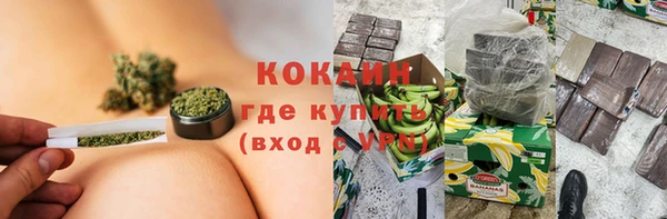 дурь Бородино