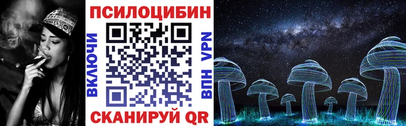 Галлюциногенные грибы мицелий  наркотики  Мытищи 